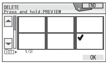 DELETE Press and hold:PREVIEW 101 1/2 OK