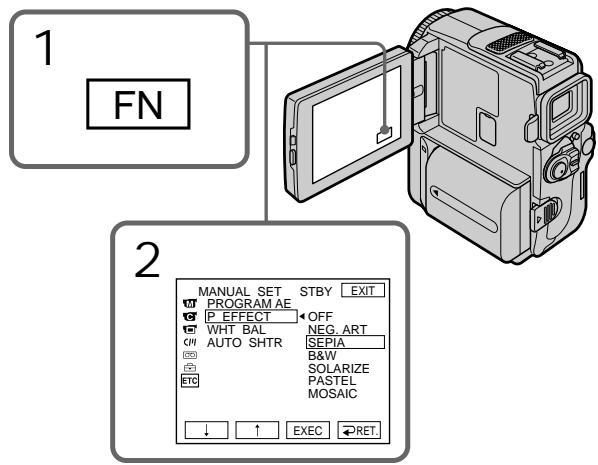 1 FN 2 MANUAL SET STBY EXIT PROGRAM AE P EFFECT OFF WHT BAL NEG ART AUTO SHTR SEPIA B&W SOLARIZE PASTEL MOSAIC ↓ ↑ EXEC RET.