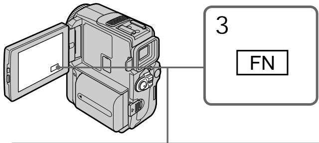 3 FN