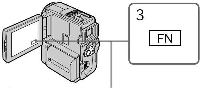 3 FN