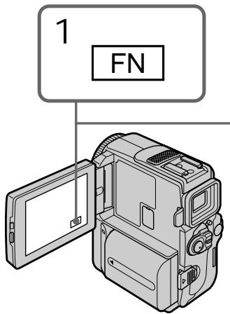 1 FN