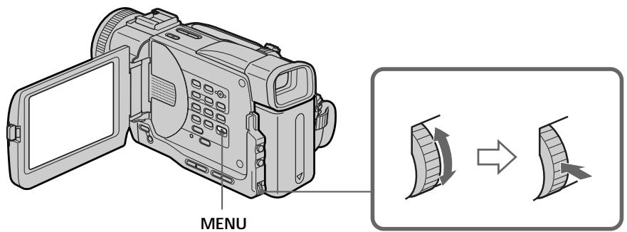 SONY DCR-TRV11E - (OUTDOOR - режим "на улице"): - 1