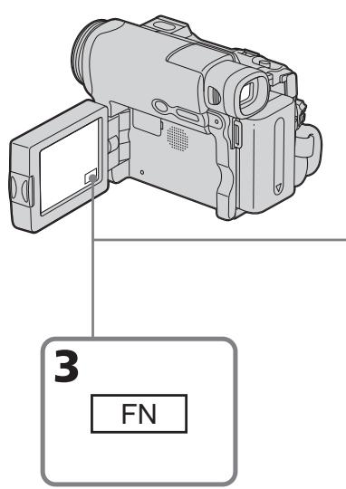 3 FN