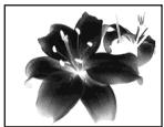 SONY DCR-TRV22E - Using special effects - Picture effect - 1