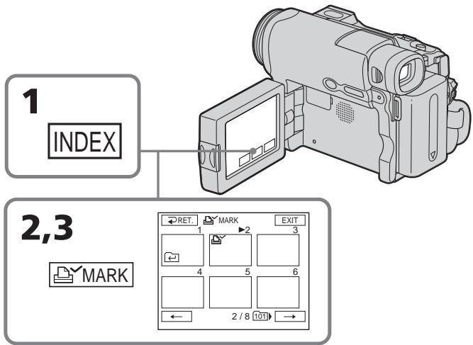 SONY DCR-TRV22E - Inscription d'une marque d'impression - Marque d'impression - 1