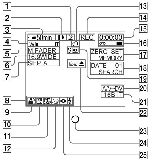 SONY DCR-TRV240E - Operation indicators - 1