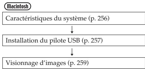 SONY DCR-TRV245E - Visionnage d'images enregistrées sur un "Memory Stick" 355 356 - 3