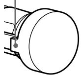 SONY DCR-TRV245E - Remplacement de l'ampoule - 2