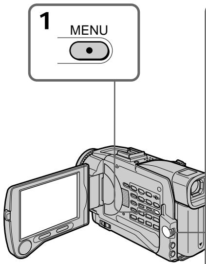 SONY DCR-TRV30E - Стирание титра - 1