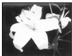 SONY DCR-TRV30E - Using special effects - Picture effect - 2