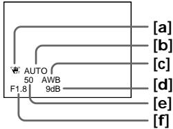 SONY DCR-TRV30E - Various settings/ - 1