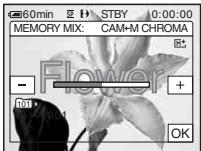 60min STBY 0:00:00, MEMORY MIX: CAM-M CHROMA, Flower, + -, 101, OK
