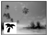 SONY DCR-TRV8E - Low lux mode - 3