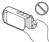 SONY HDR-CX190E, HDR-CX200, HDR-CX220 E, HDR-CX320 E - Gebruik en onderhoud - 2