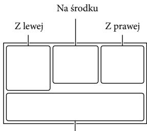 SONY HDR-PJ660VE - Wskaźniki na ekranie - 1