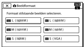 Beeldformaat 169 Formaat stilstaande beelden selecteren. L (M) M (M) S (M) L (M) M (M) S (VGA)