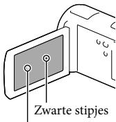 Zwarte stipjes