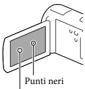 Punti neri