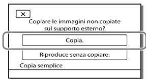 Copiare le immagini non copiate sul supporto esterno? Copia. Riproduce senza copiare. Copia semplice