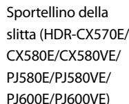 SONY HDR-PJ580 - Informazioni su uso e manutenzione - 1