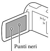 SONY HDR-PJ580 - Pannello LCD - 1