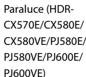 SONY HDR-PJ580 - Informazioni su uso e manutenzione - 2