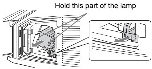 Hold this part of the lamp