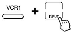 VCR1 + INPUT