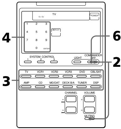 TV POWER 1 2 3 4 5 6 7 8 9 0 ENTER SYSTEM CONTROL 3 LIGHT COMMANDER OFF 2 3 TV VCR1 VCR2 VCR3 DVD CBL/SAT AMP CD MD/DAT DECK B/A TUNER DSP CHANNEL VOLUME + - MUTING