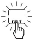 INPUT
