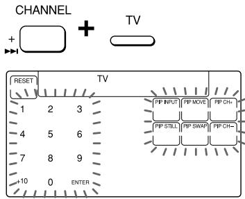 CHANNEL + + TV RESET TV 1 2 3 4 5 6 7 8 9 10 0 ENTER PIP INPUT | PIP MOVE | PIP CH+ PIP STILL | PIP SWAP | PIP CH-