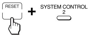 RESET + SYSTEM CONTROL 2
