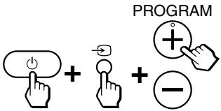 PROGRAM + + -