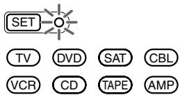 SET TV DVD SAT CBL VCR CD TAPE AMP