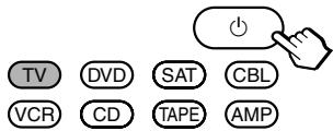 TV DVD SAT CBL VCR CD TAPE AMP