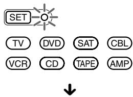 SET TV DVD SAT CBL VCR CD TAPE AMP