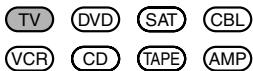 TV DVD SAT CBL VCR CD TAPE AMP