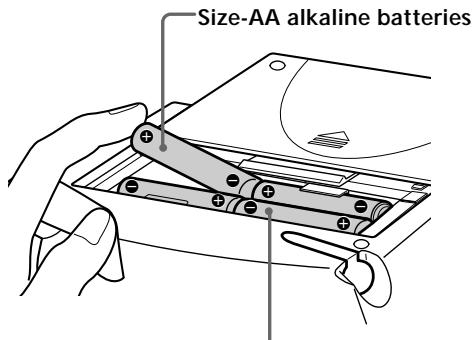 Size-AA alkaline batteries