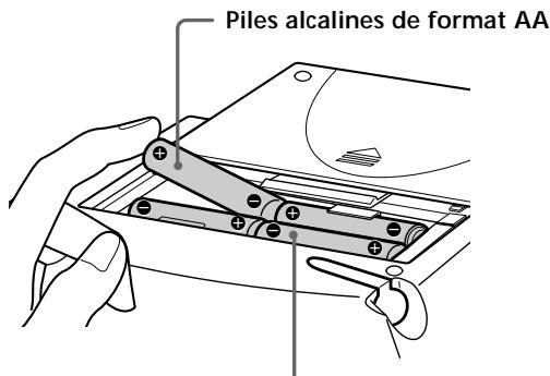 Piles alcalines de format AA
