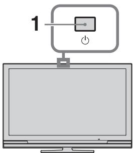 SONY RM ED011 - Watching TV - 1