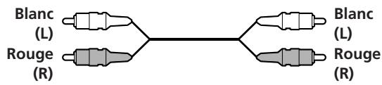 SONY CDP-CE305 - AVERTISSEMENT - 1