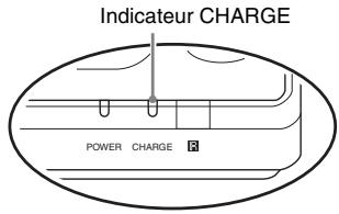SONY DVP-FX870 - Charge de la batterie - 2