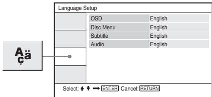 SONY DVP-FX870 - Setting the Display or Sound Track Language (Language Setup) - 1