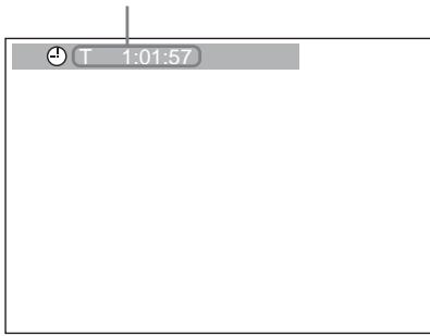 SONY DVX-11A - Durante la reproduccion, presione DISPLAY. - 1
