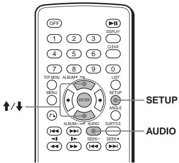 SONY DVX-11B - Ingrandimento delle immagini DVD VCD - 1