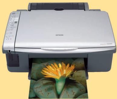 EPSON STYLUS DX4250 - 1