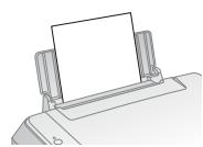 EPSON STYLUS DX4450 - 21