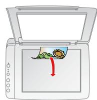 EPSON STYLUS DX4450 - 13