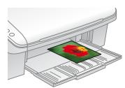 EPSON STYLUS DX4450 - 17