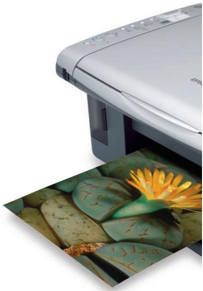 EPSON STYLUS DX4800 - La gamme Epson Stylus DX est une solution multifonction pour tous, des utilisateurs personnels aux petites entreprises. Compacts et abordables, les multifonctions de cette gamme offrent une qualité d'impression, de numérisation et de copie remarquables. - 1